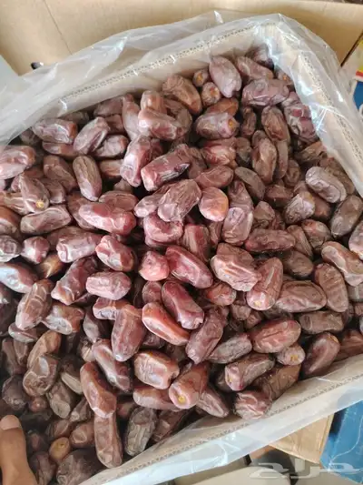 تمر خضري كميه كبيره 0