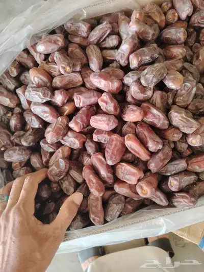 تمر خضري كميه كبيره 2