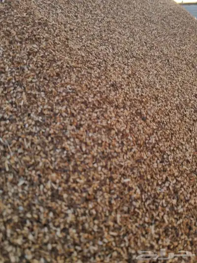 علف سمسم لابل و الاغنام و الطيور 0
