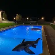 شلالات ونوافير ومسابح وتنسيق حدائق 8