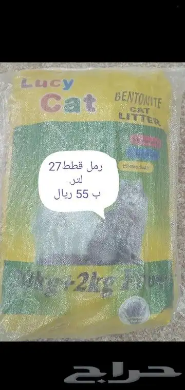 اكل قطط رمل قطط اكسسوارات 0