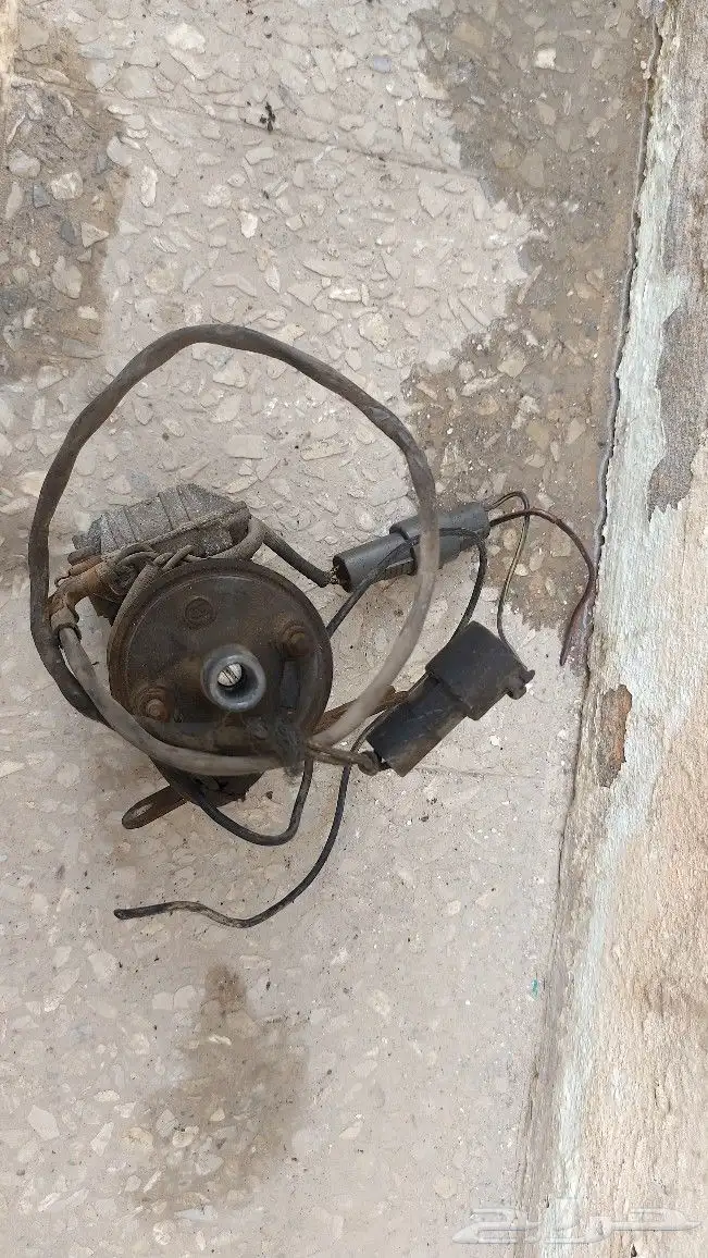 كويل كراسيدا 0