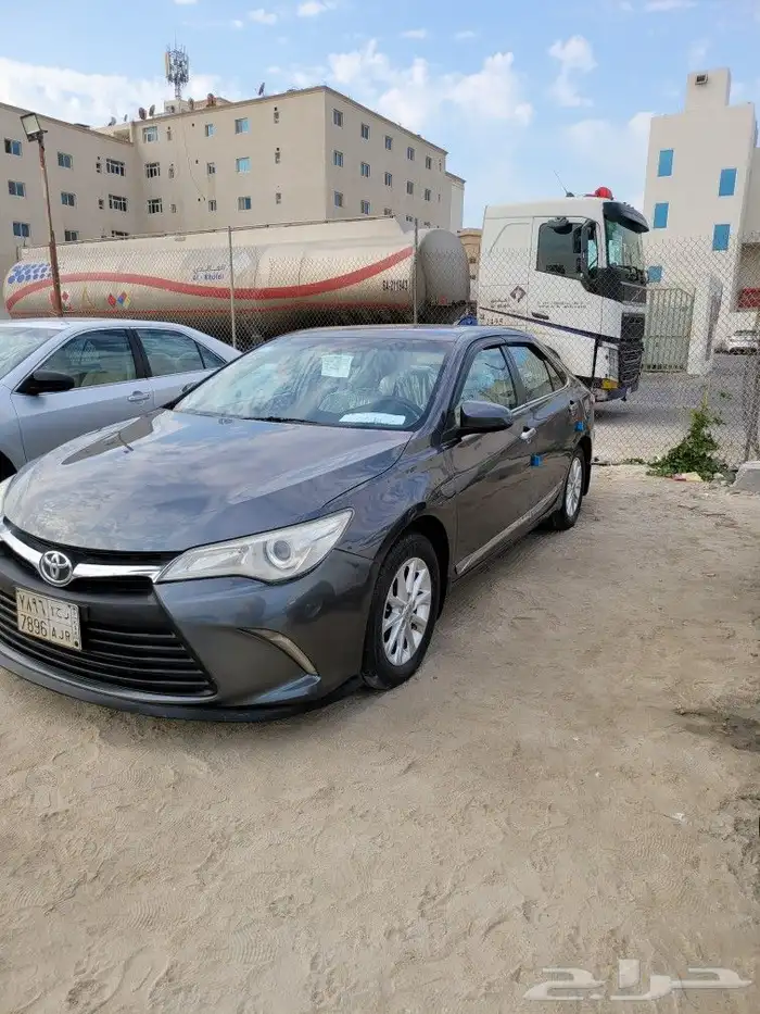 القطيف 1