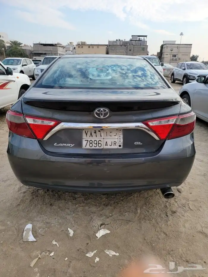 القطيف 3
