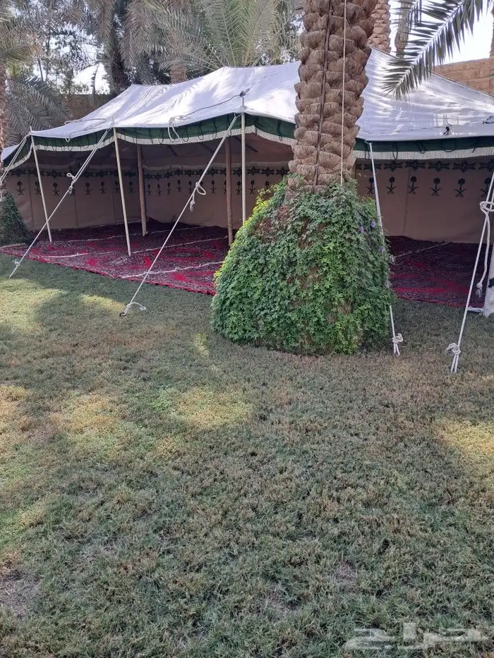 تاجير اخيام 2