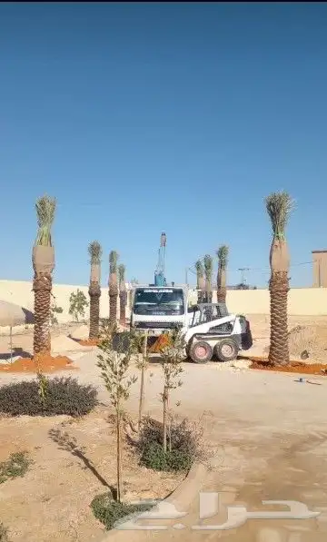 توريد وتركيب النخيل وتركيب الشبوك للمزارع 5