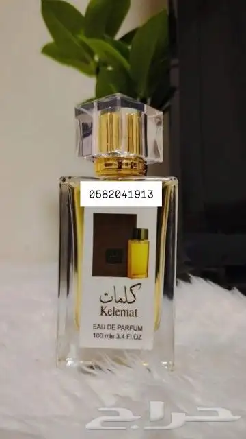 عطور تعبئة ماركات سعر العطر 7 ريال فقط اقل طلب كرتونين 120عط 41