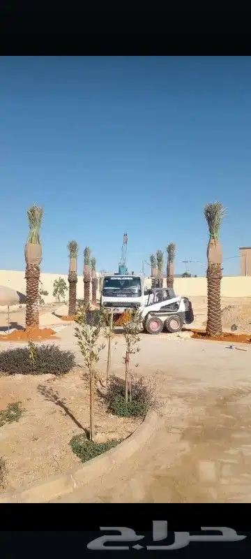 توريد وتركيب النخيل وتركيب الشبوك للمزارع 6