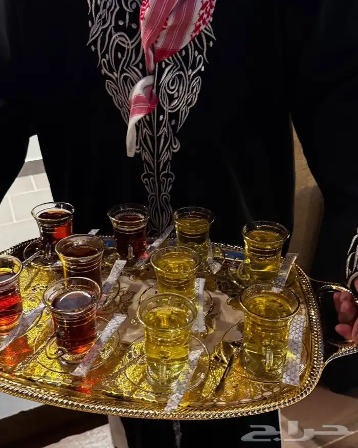 قوجيين وصبابين 1