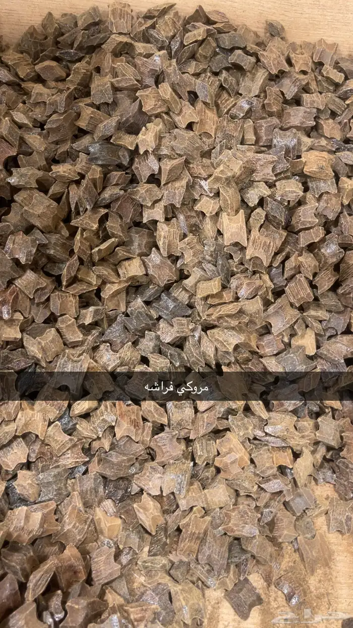 عود جملة الجمله 8
