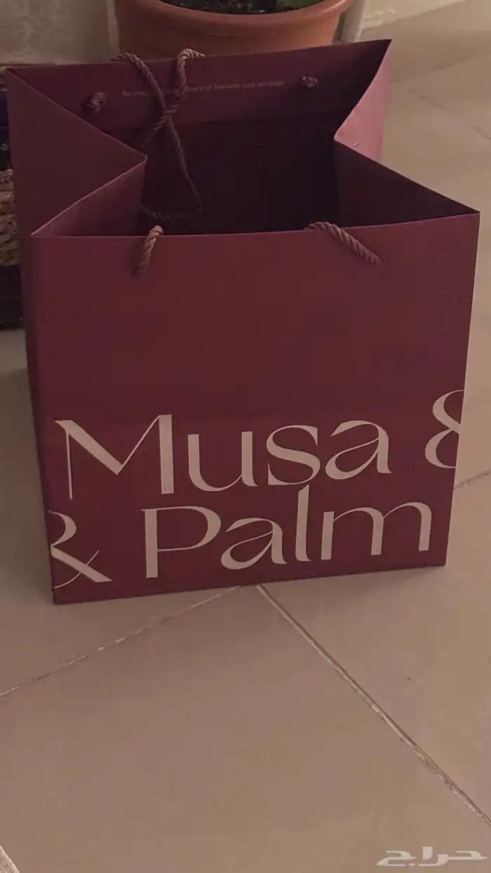مق musa palm 2