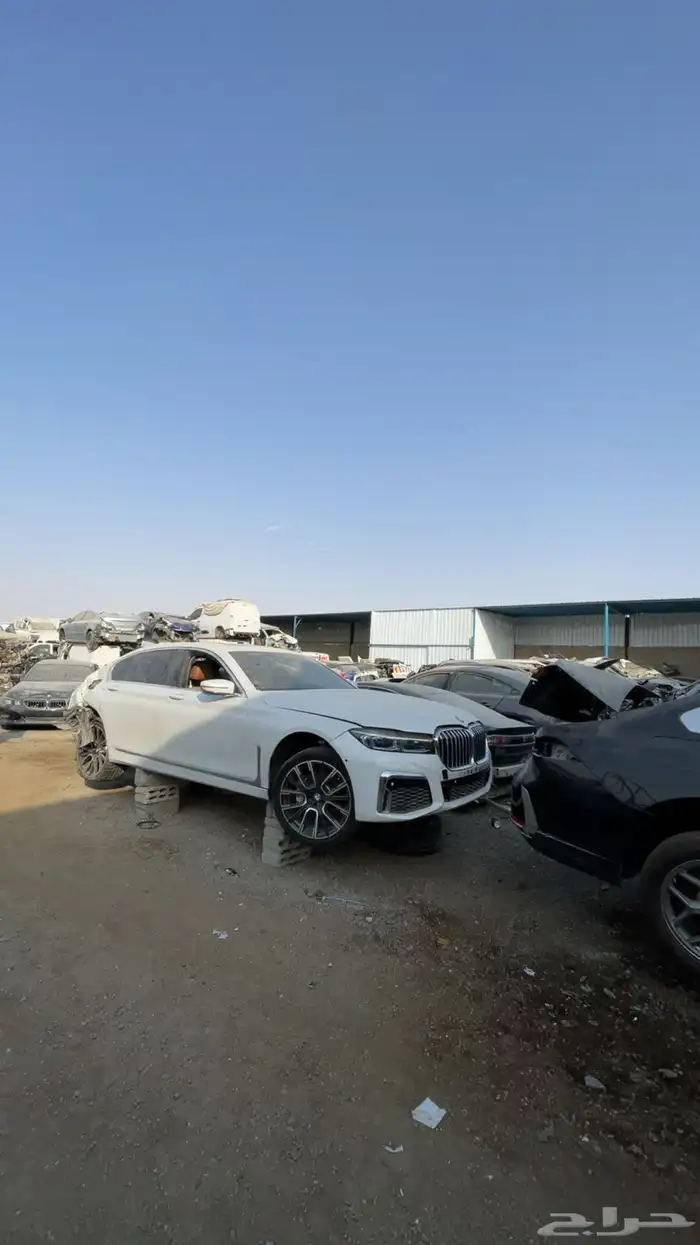 رنج 2023 11