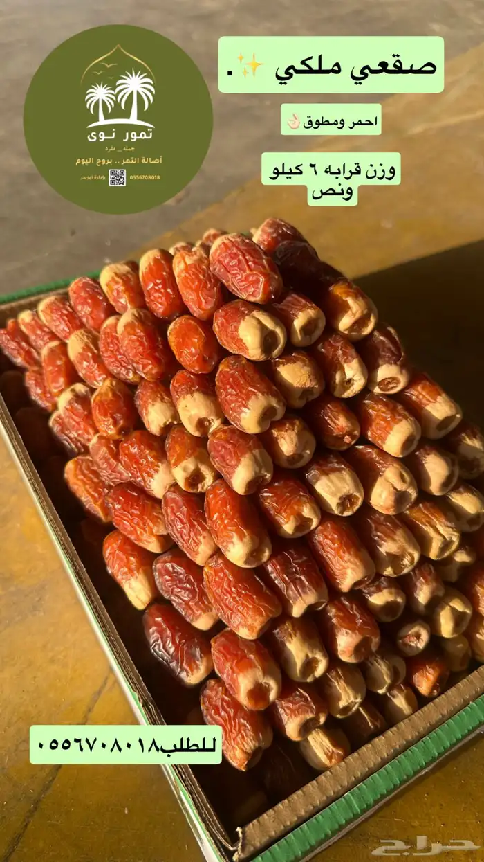 صقعي احمرر مطوق ملكي 0