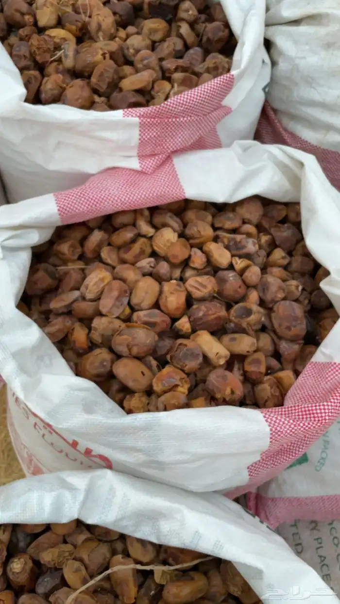 تمر حلال علف نضيف وطيب 3