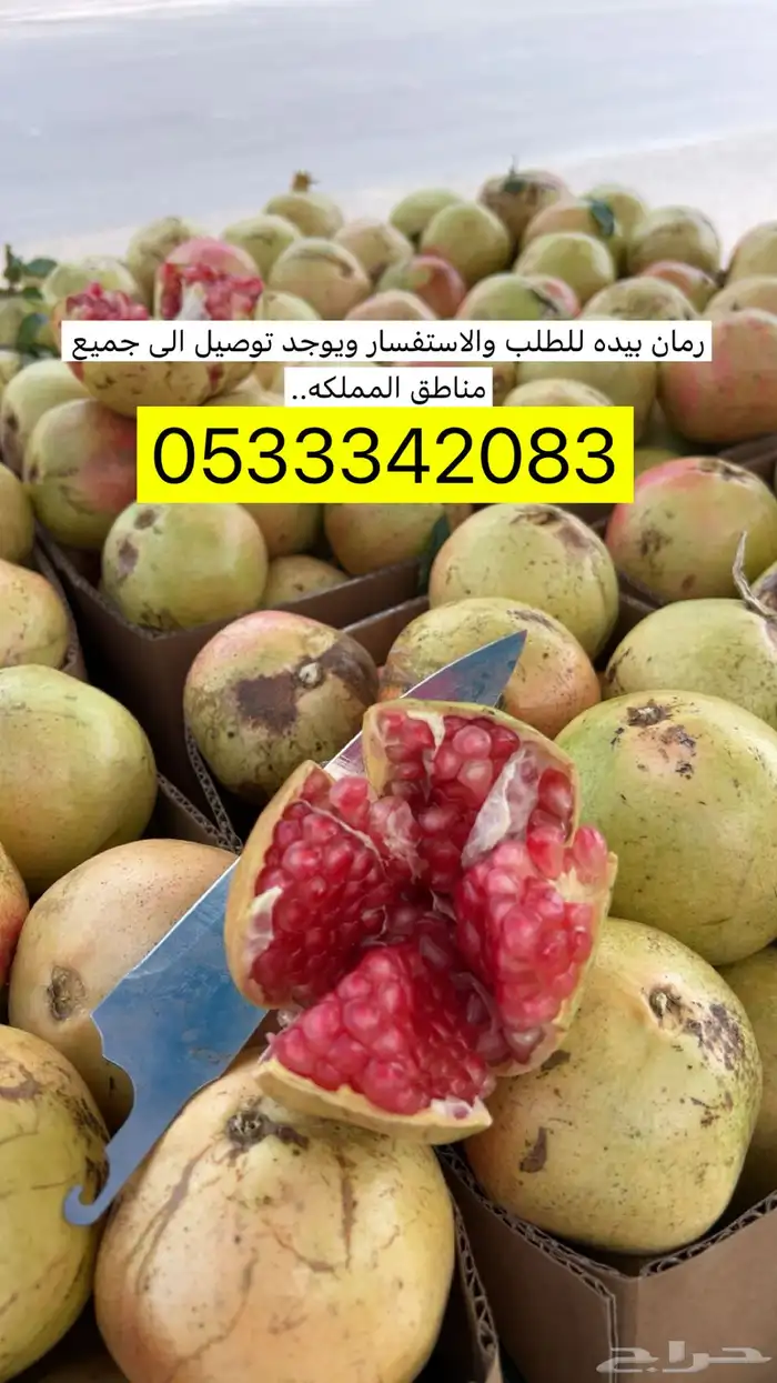 رمان بيده التوصيل مجاني 2