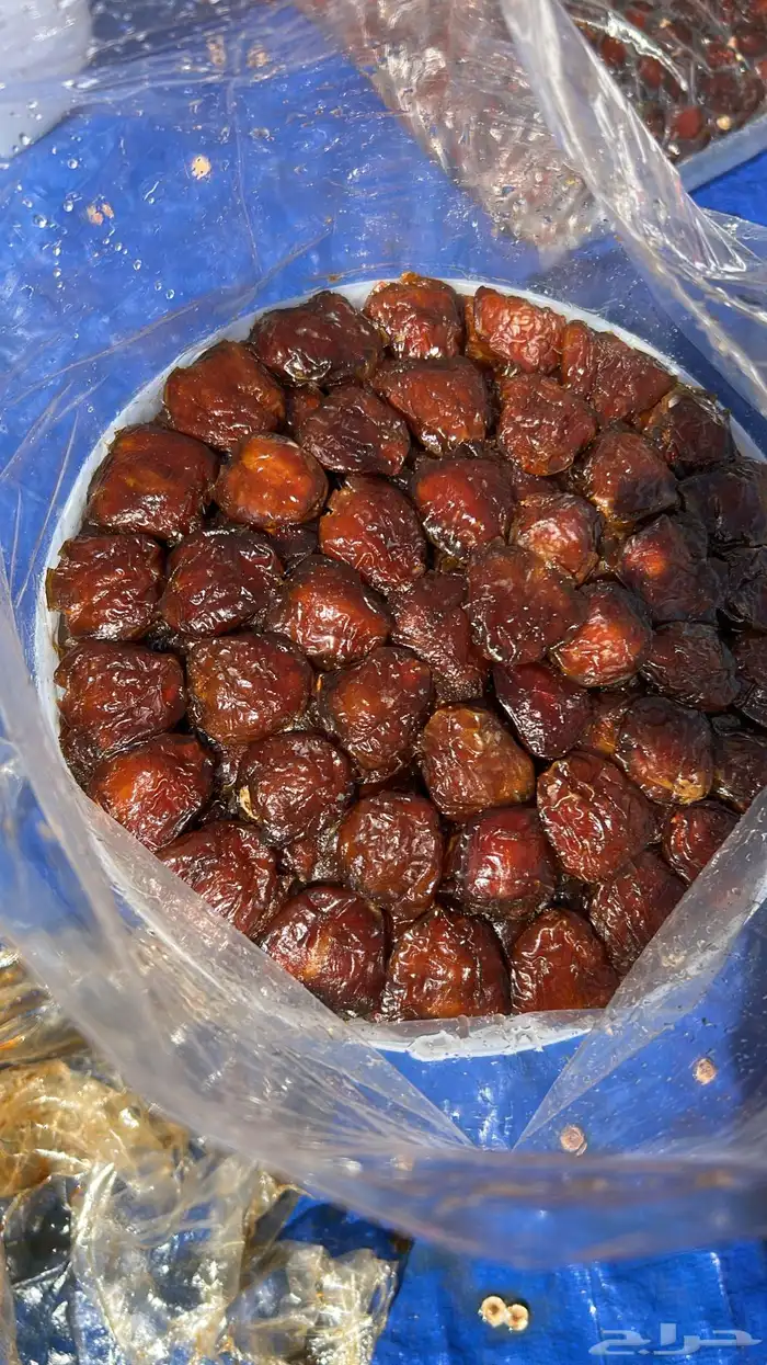 برني رقم واحد ملكي فاخر وكعيمر ملكي فاخر 1