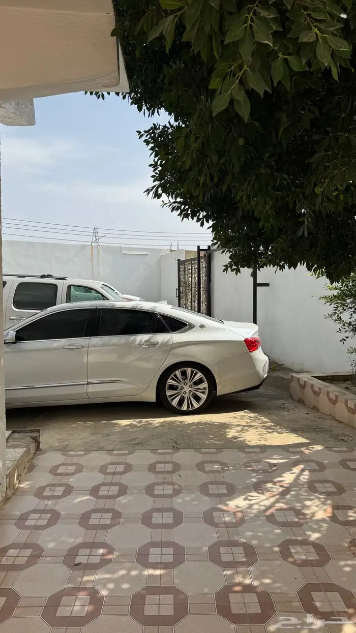 امبالا LTZ بريمير 2018 3