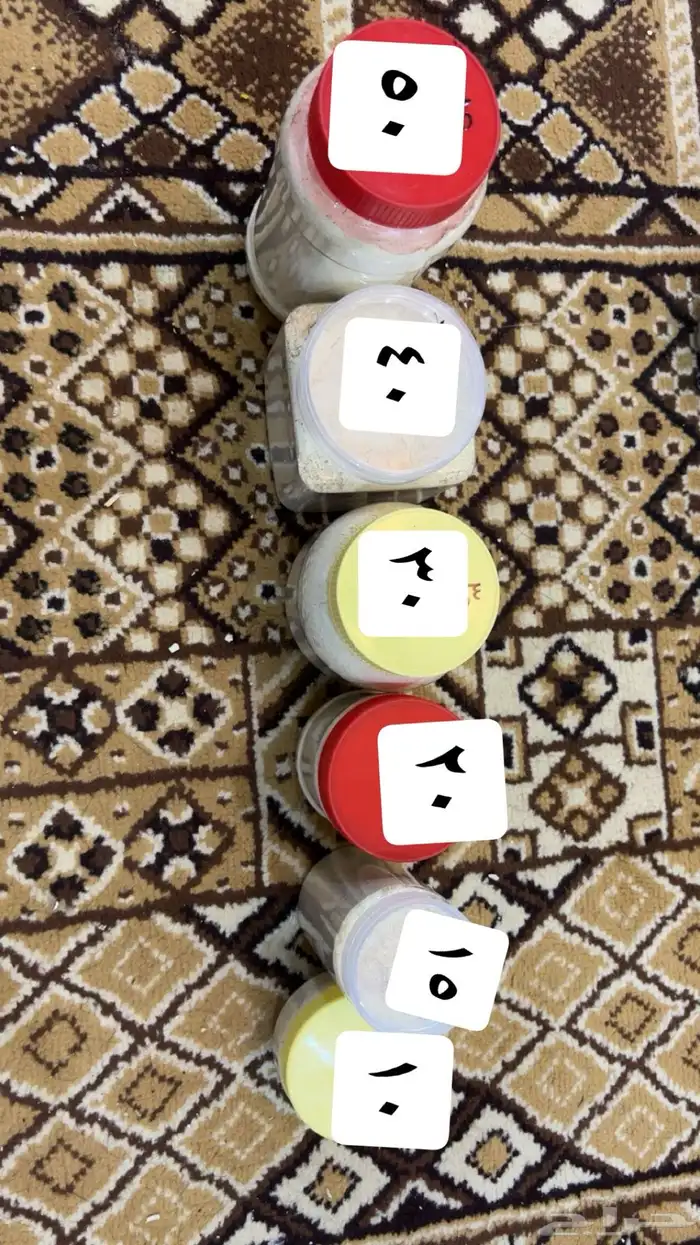 سريلاك طيور ومستلزمات 0