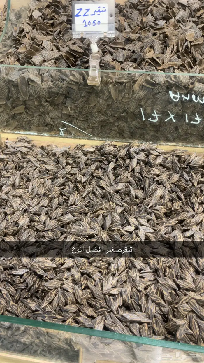 عود جملة الجمله 2