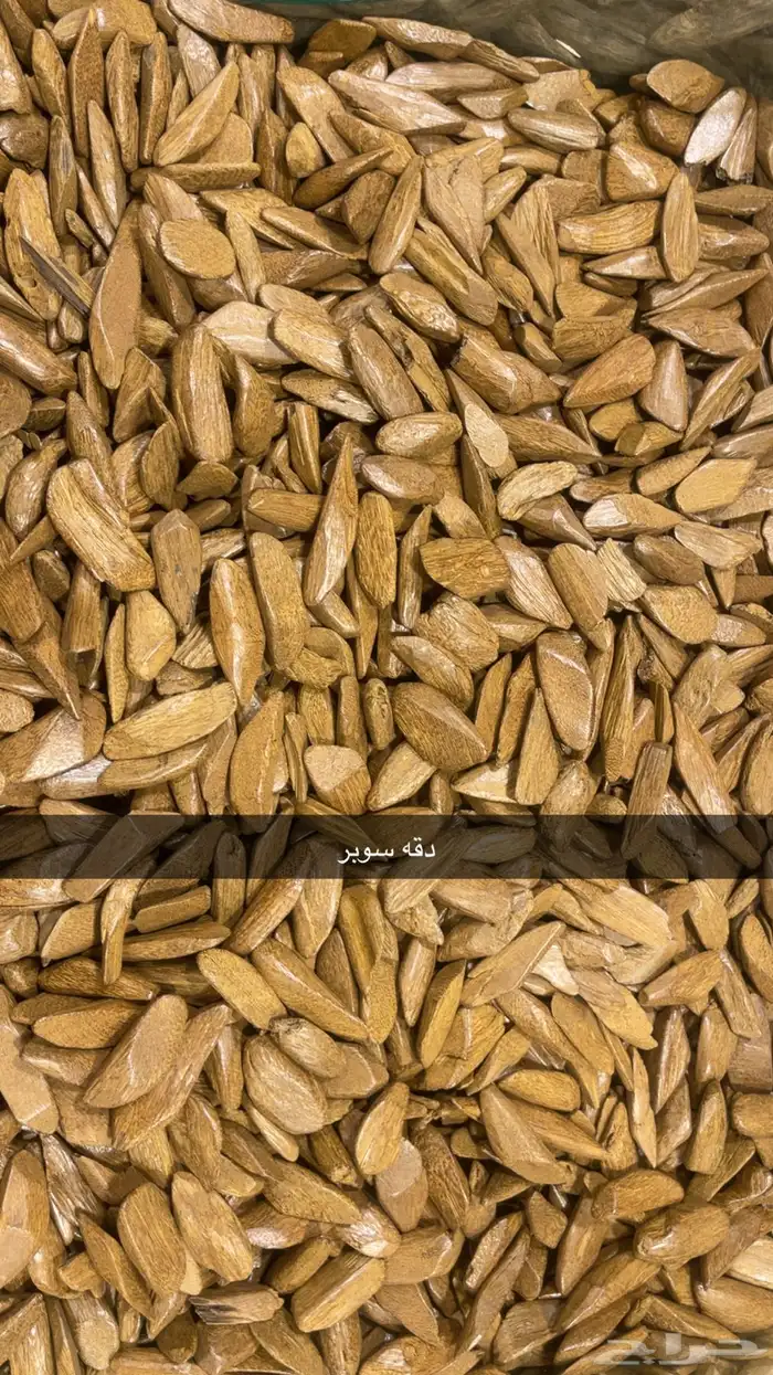 عود جملة الجمله 9