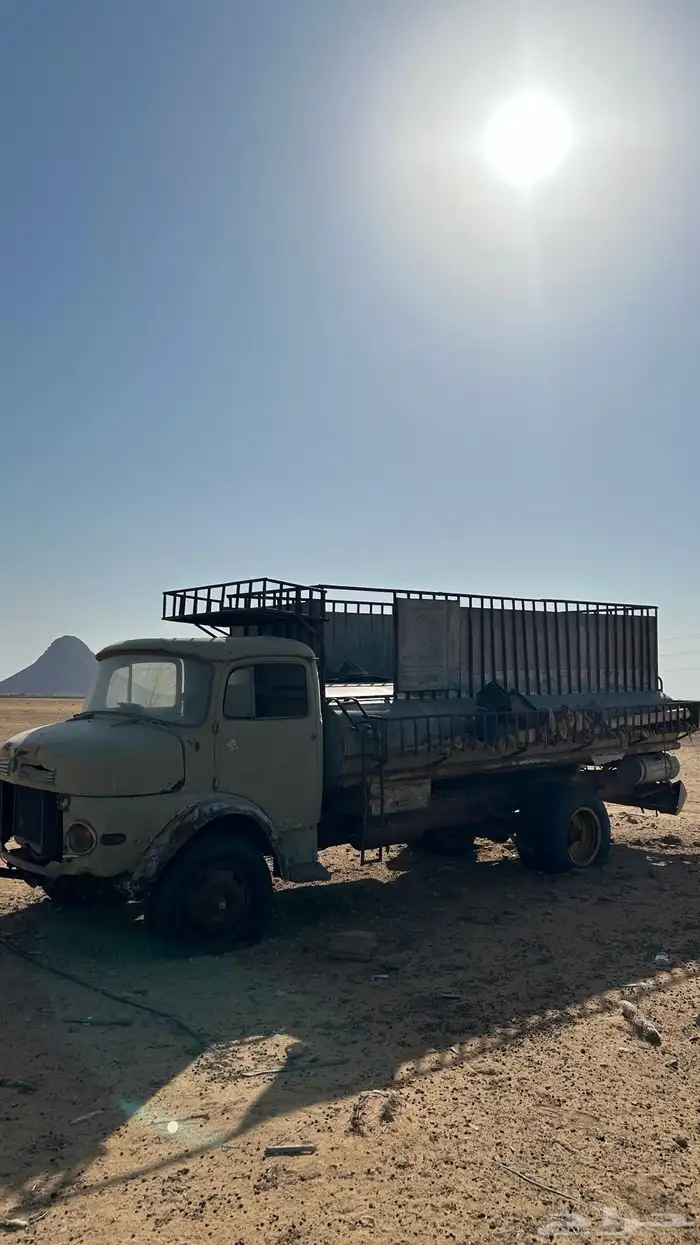 وايت حصنيه للبيع 0