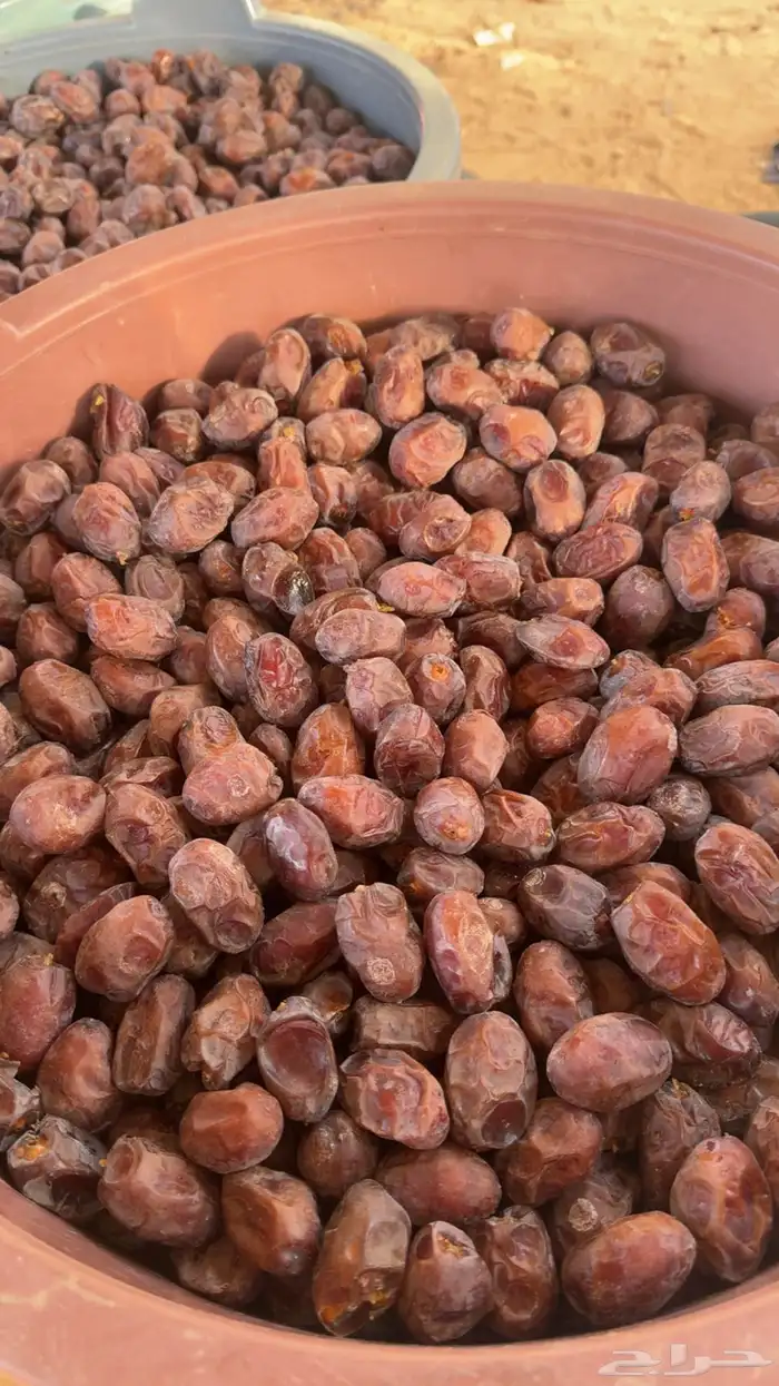 للبيع تمر حلوه بقعاء 3