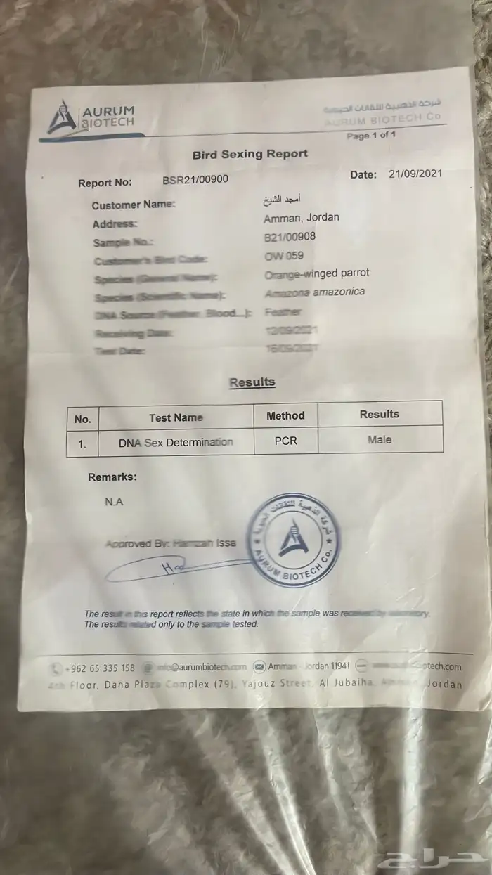 زوج امازون اورانج وينجد 4