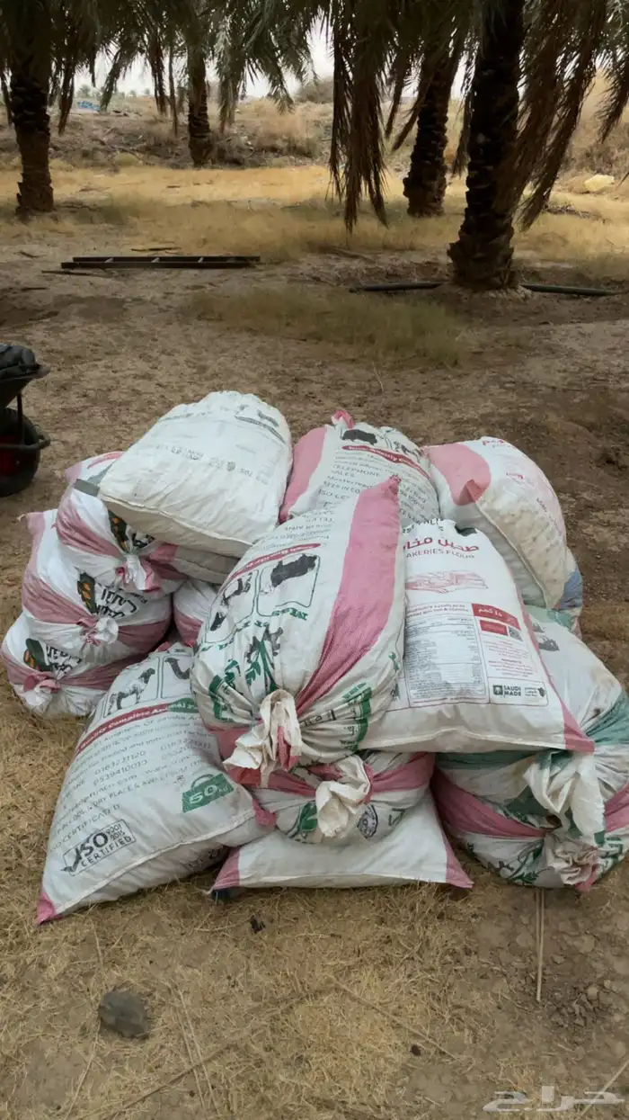 تمر حلال علف نضيف وطيب 1