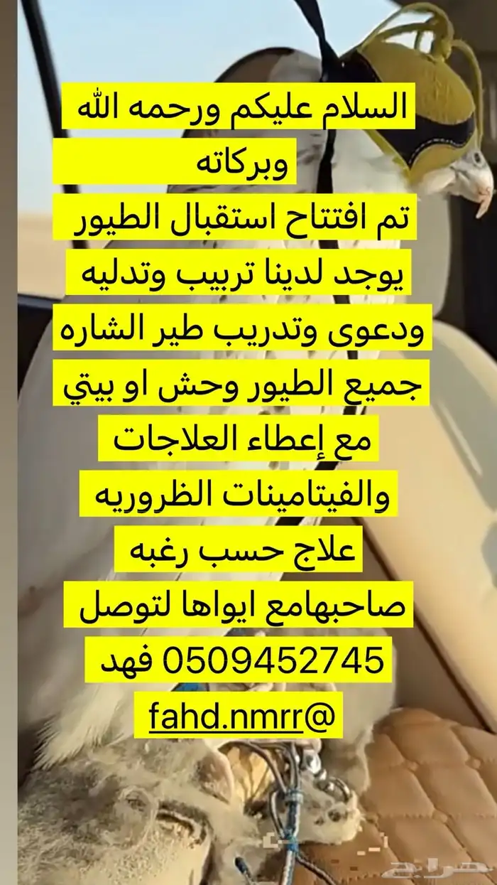 تربيت الصقور 0