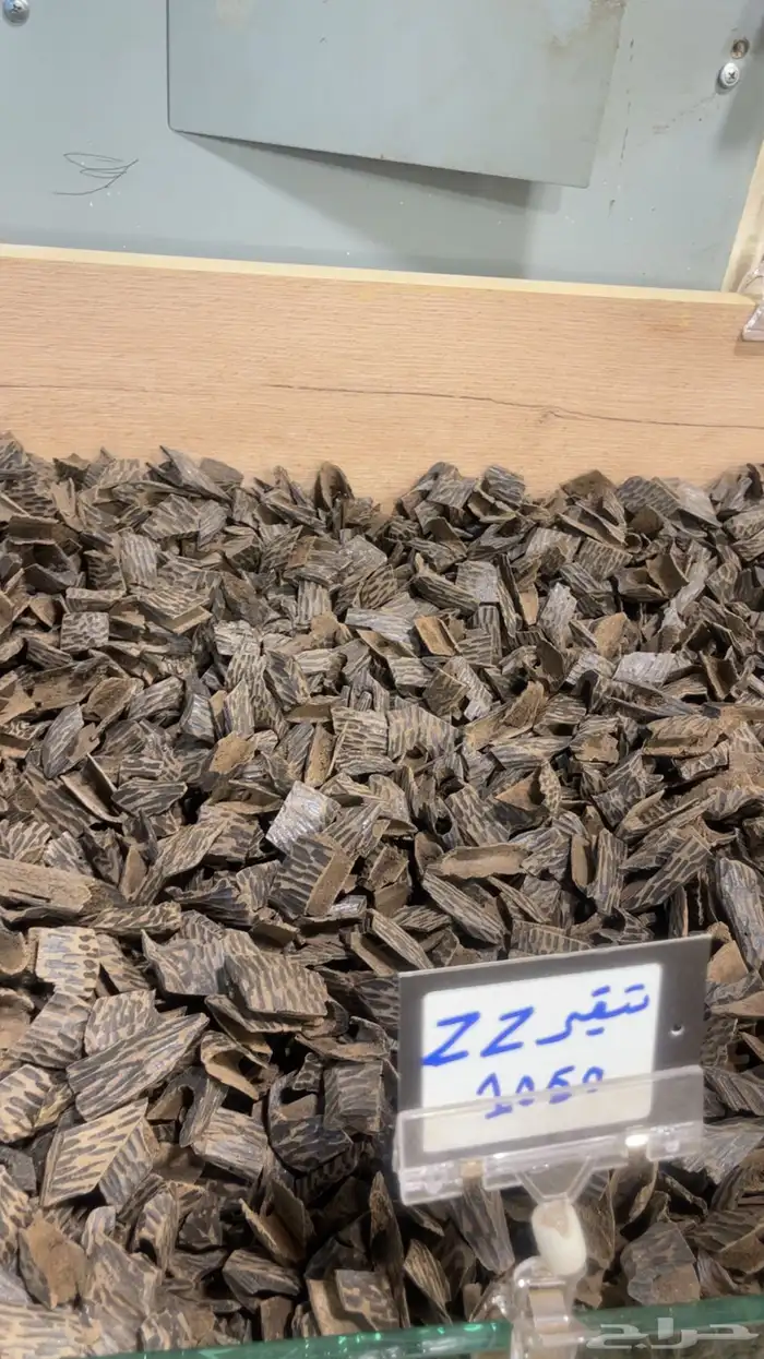 عود جملة الجمله 0