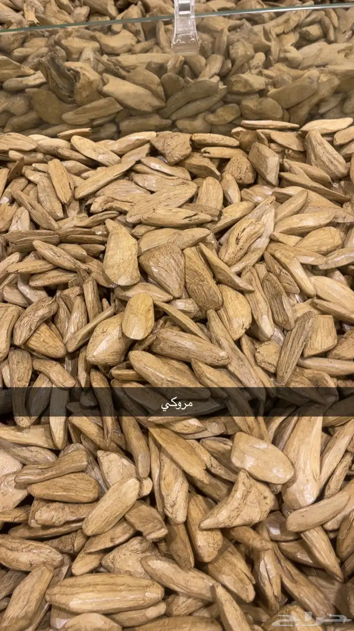 عود جملة الجمله 5