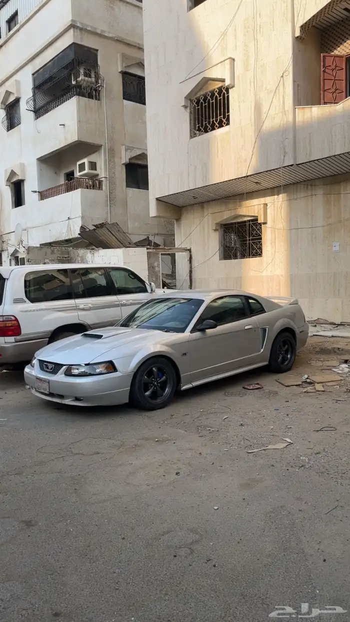 موستنق 2000 V8 قير عادي tr3650 1