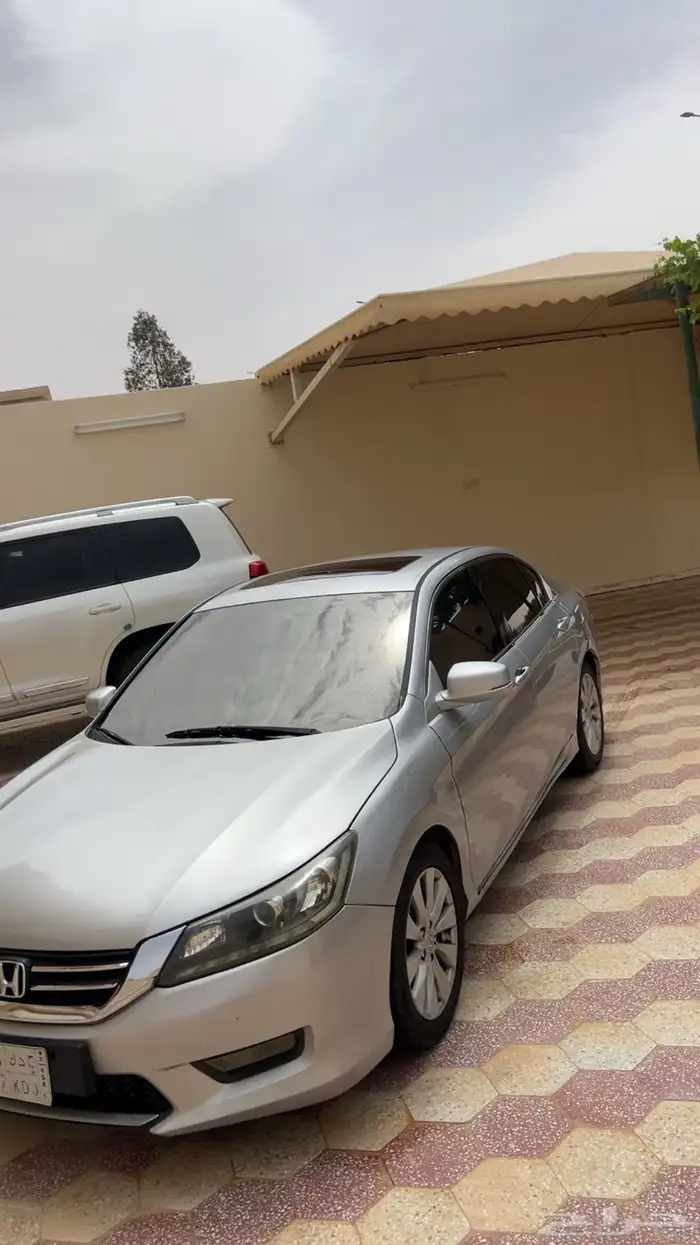 طريف 1