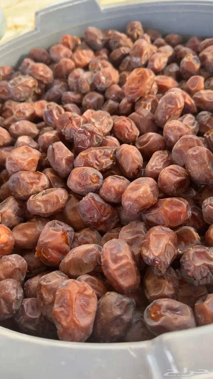للبيع تمر حلوه بقعاء 1