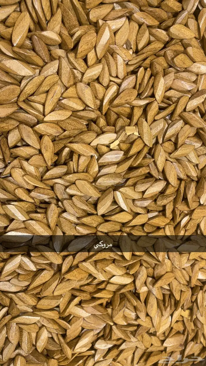 عود جملة الجمله 6