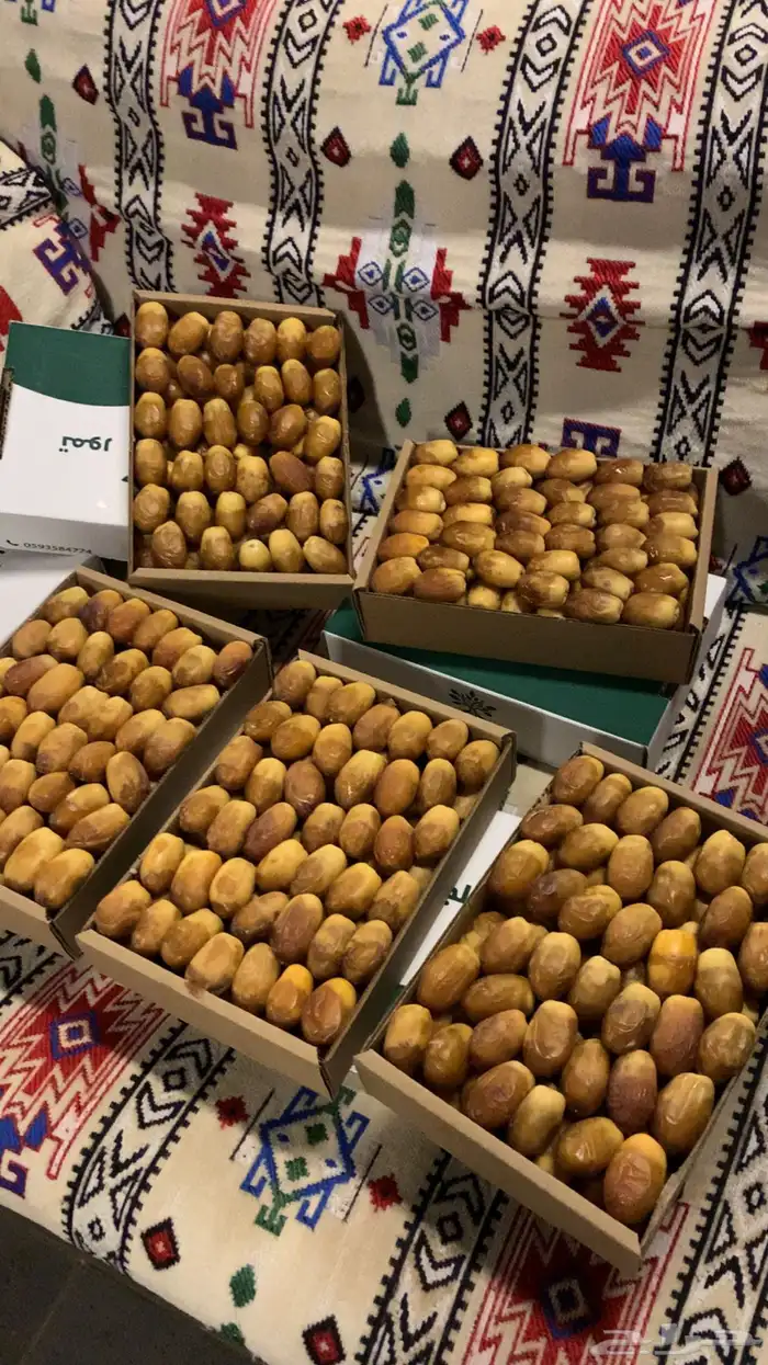 تمر صقعي العراق و بويظا خدما 1