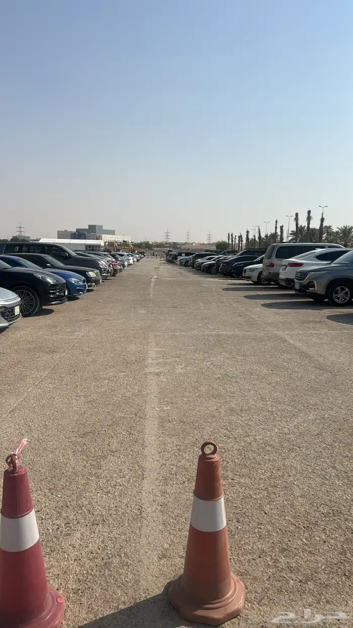 رنو سافران2013 7