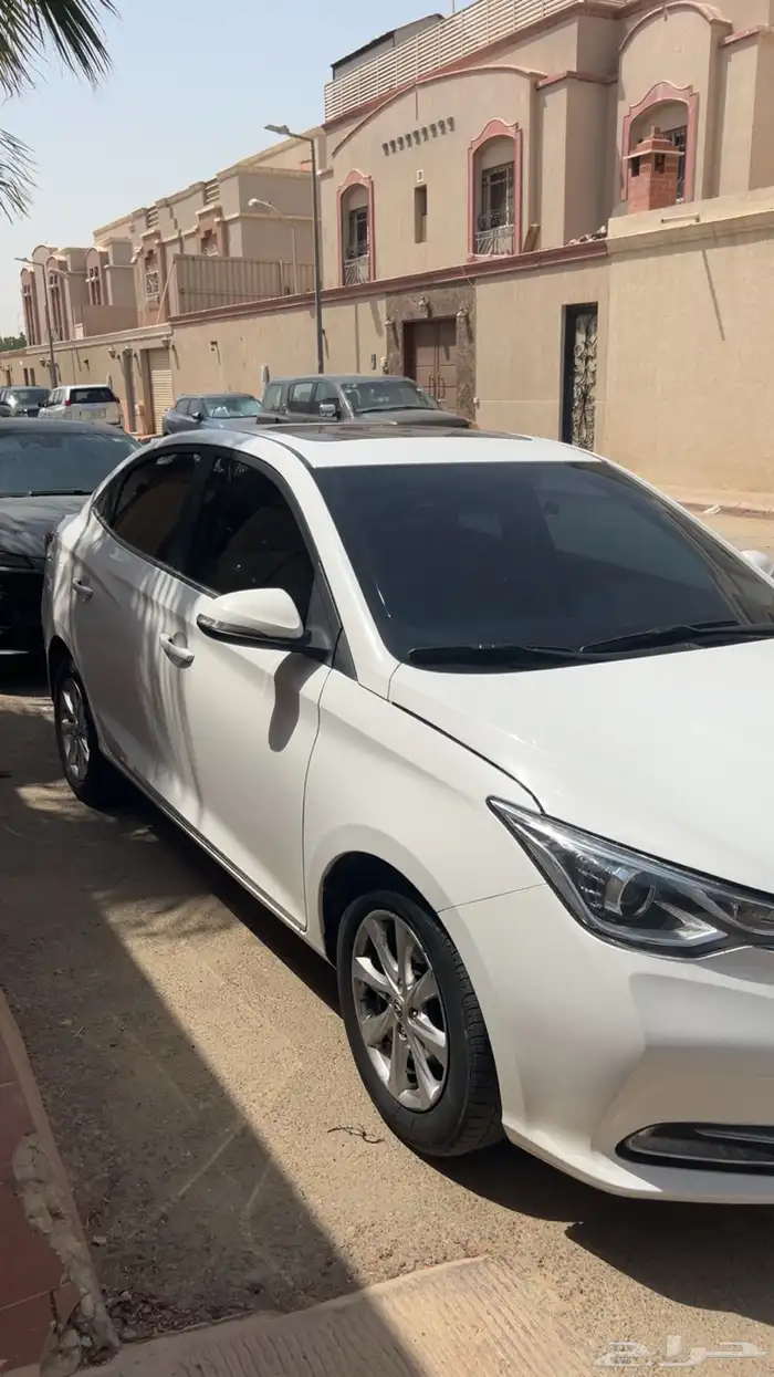 شانجان السفن 2023 فل كامل 2
