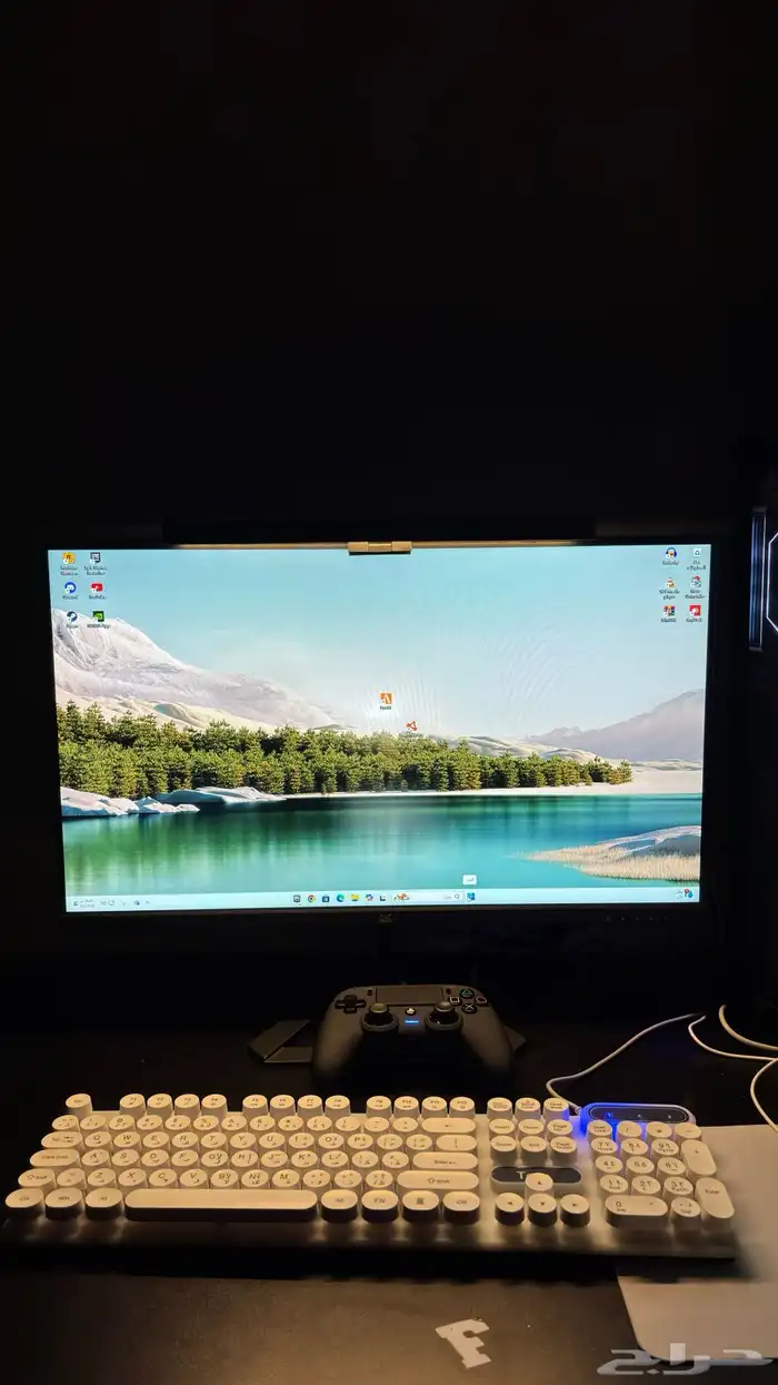 بيسي للبيع 3