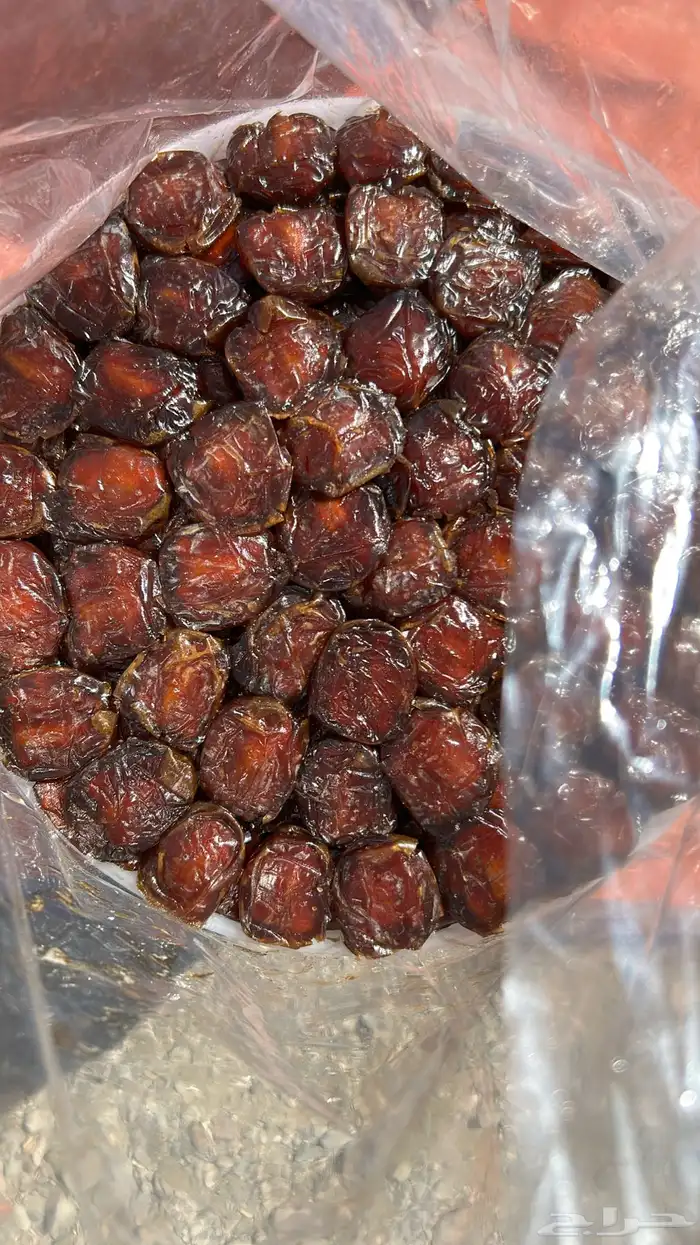 برني رقم واحد ملكي فاخر وكعيمر ملكي فاخر 0