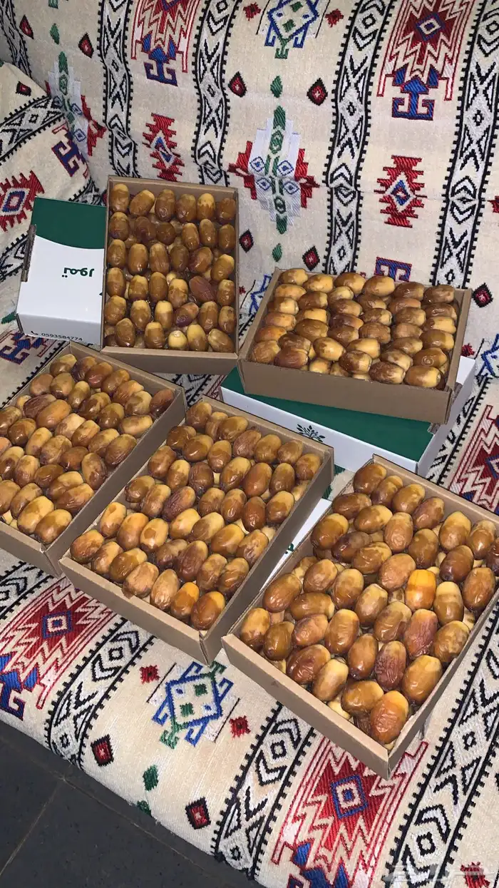 تمر صقعي العراق و بويظا خدما 0