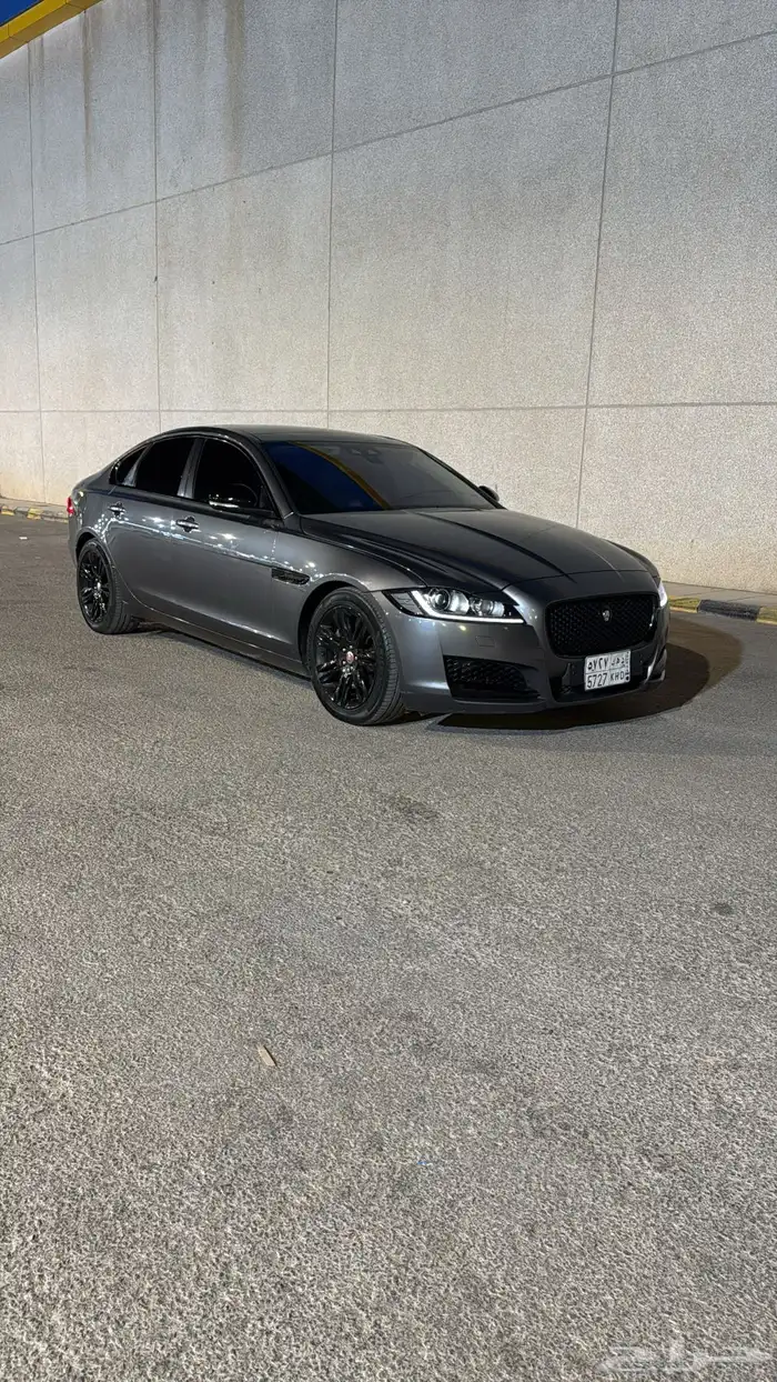 جاكوار 0
