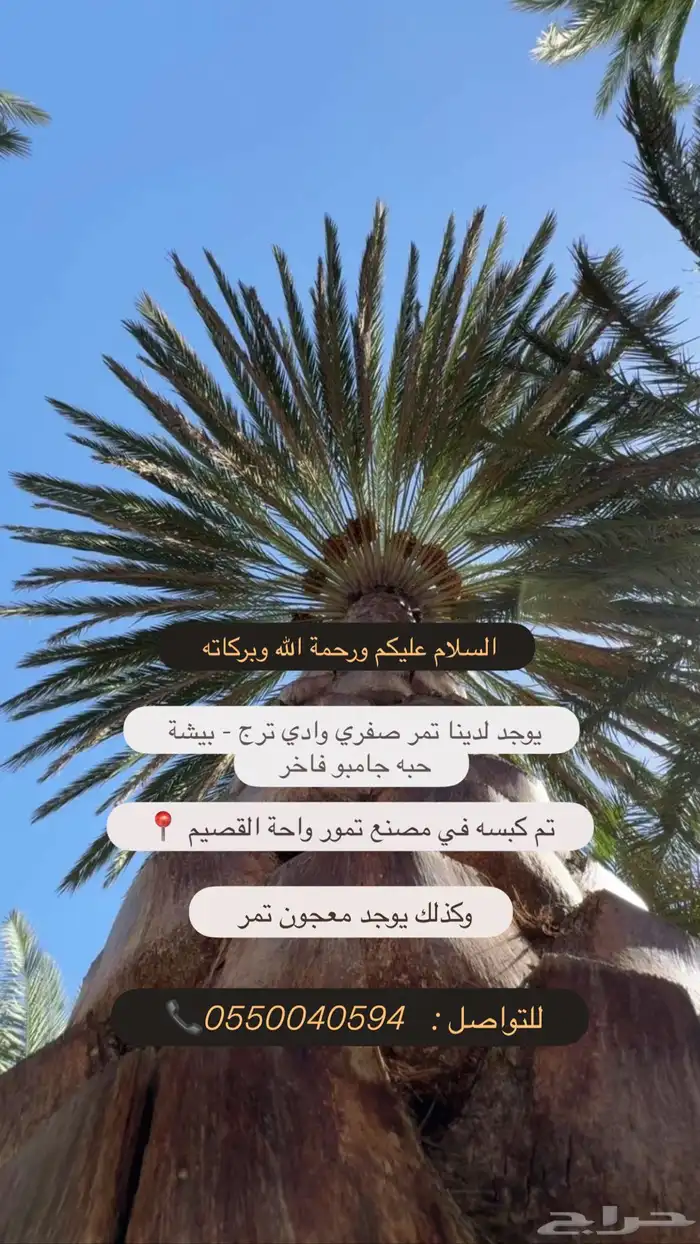 تمر صفري جامبو 2