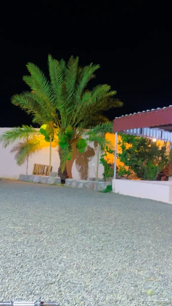 دوار للبيع او للايجار 0