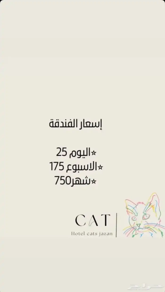 فندقة قطط جازان 1