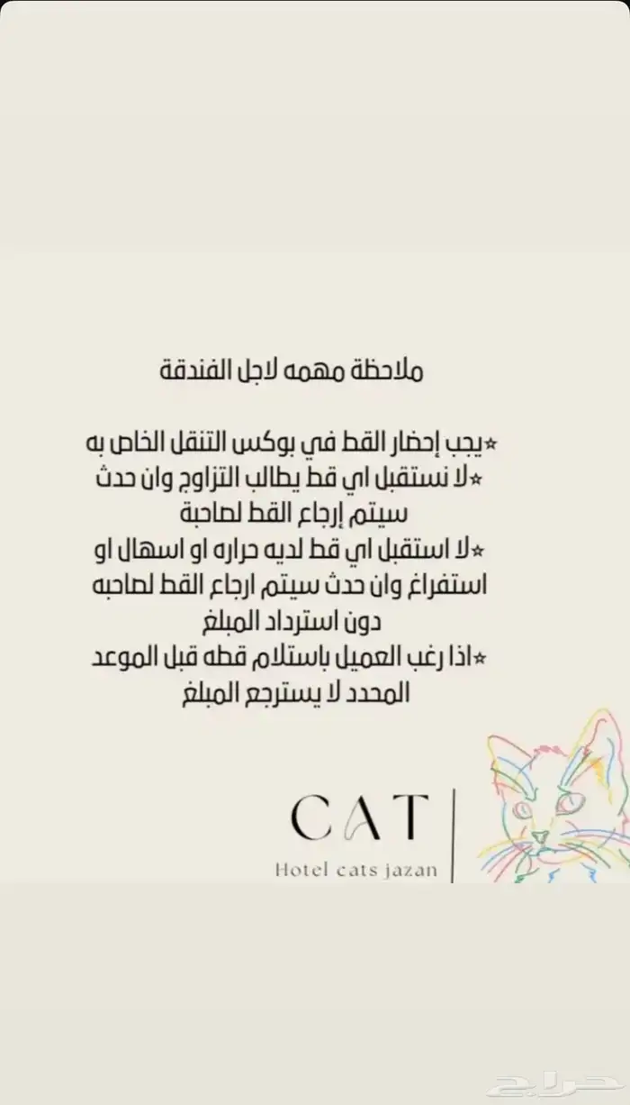 فندقة قطط جازان 6