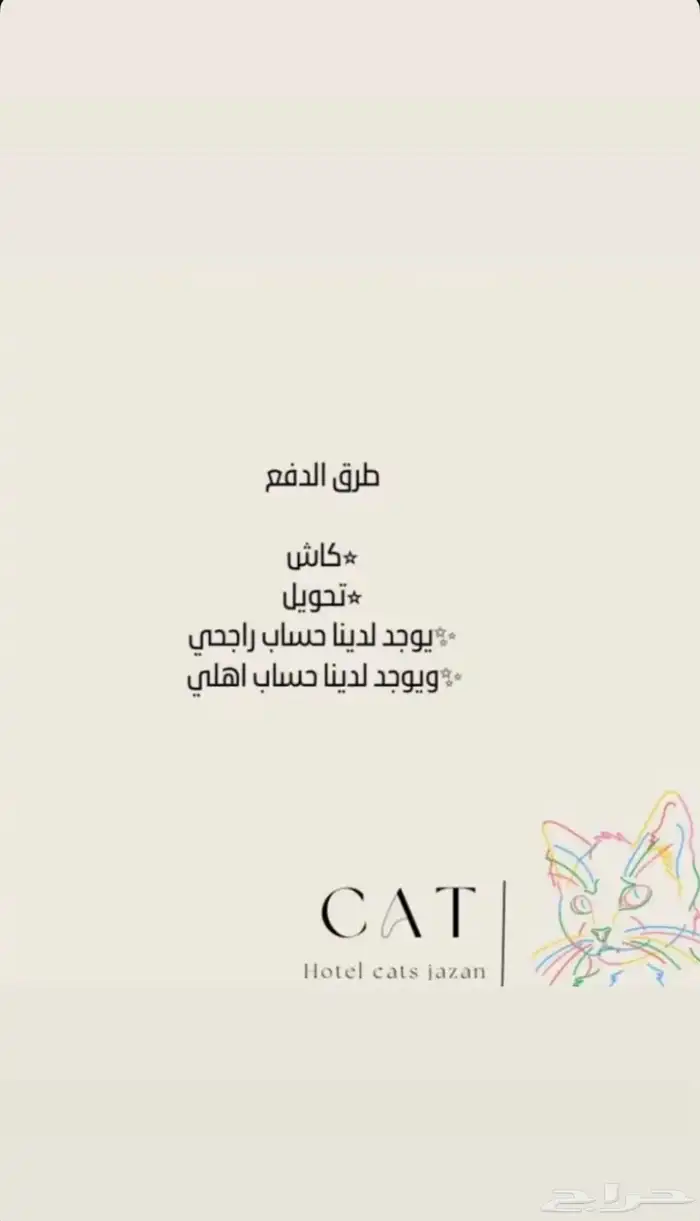 فندقة قطط جازان 4