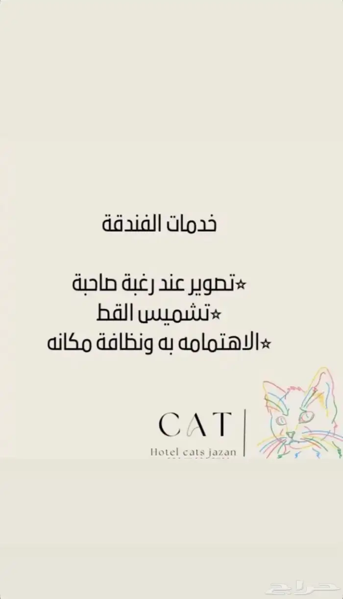 فندقة قطط جازان 5