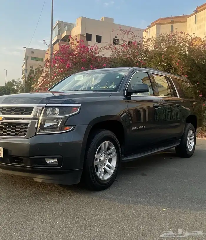 سوبر بان 2019 بدي وكاله 3