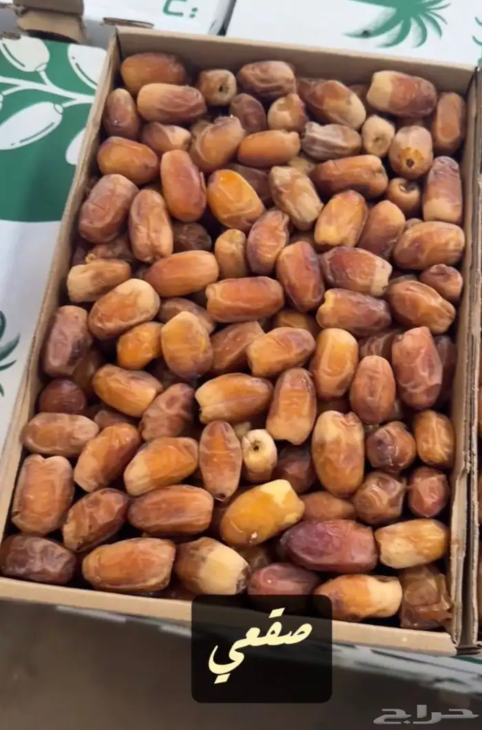 صقعي 0